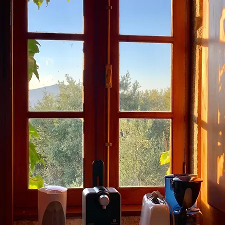 Casa De Sao Miguel Douro