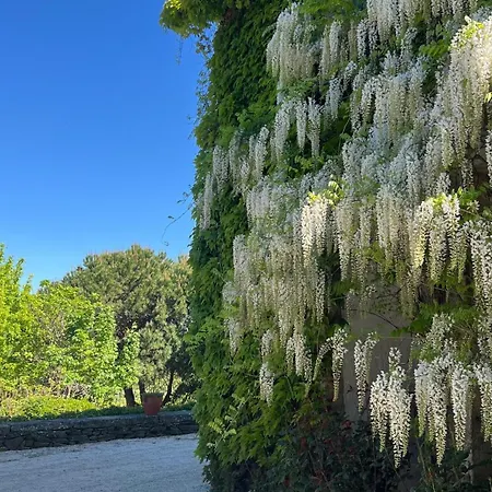 Casa De Sao Miguel Douro Armamar
