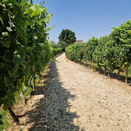 Πανσιόν Casa De Sao Miguel Douro *