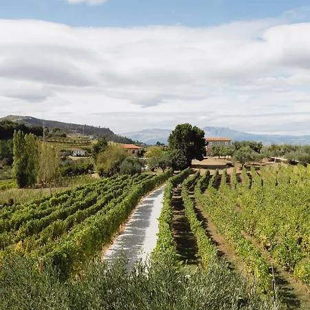 Casa De Sao Miguel Douro Πανσιόν Armamar