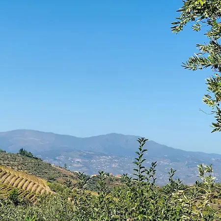 Casa De Sao Miguel Douro *