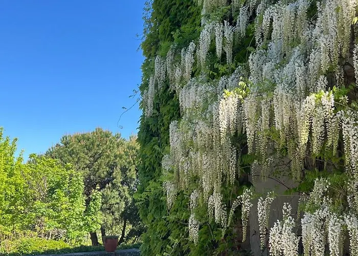 Casa De Sao Miguel Douro Armamar