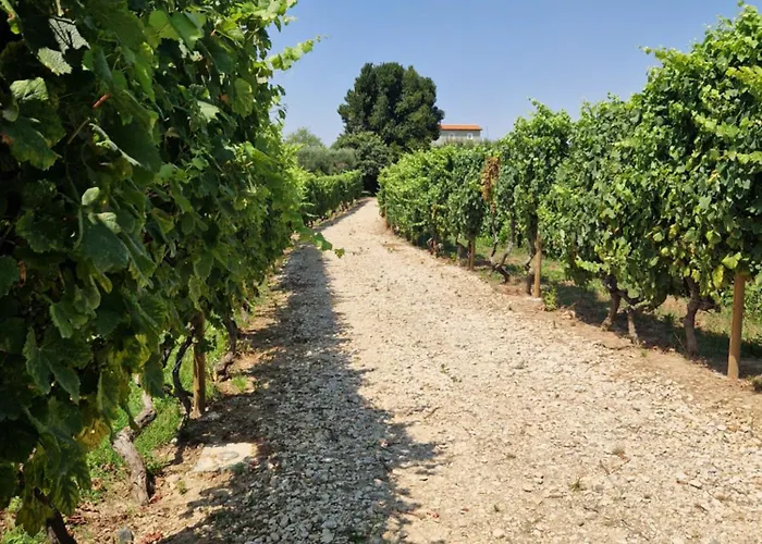 Πανσιόν Casa De Sao Miguel Douro *