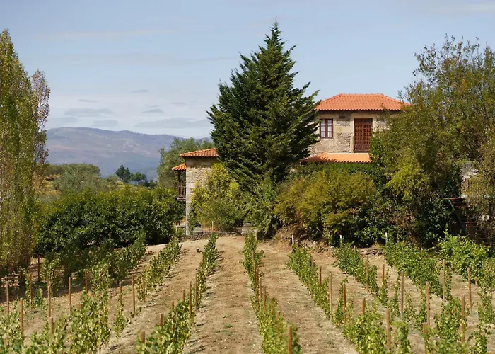 Casa De Sao Miguel Douro Πανσιόν