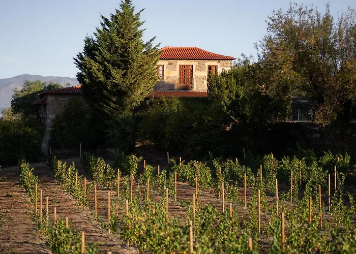 Πανσιόν Casa De Sao Miguel Douro *