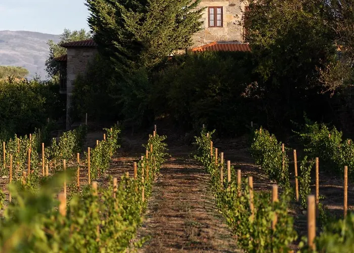 Casa De Sao Miguel Douro * Armamar