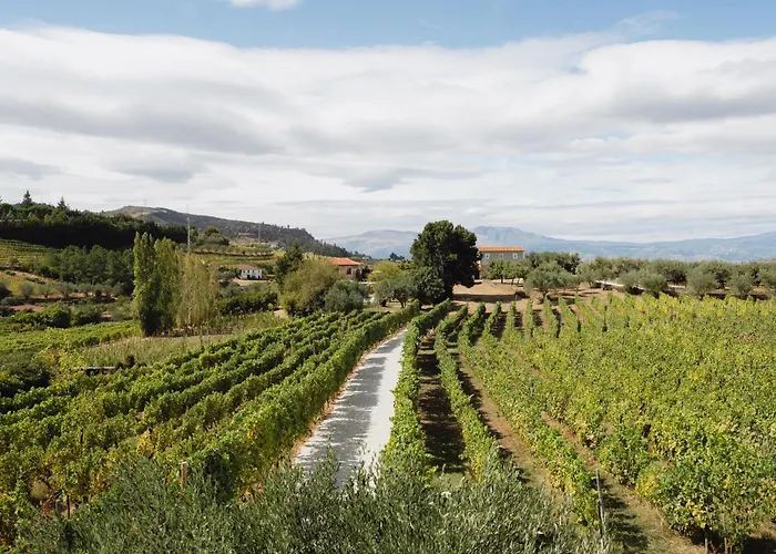 Casa De Sao Miguel Douro Πανσιόν Armamar