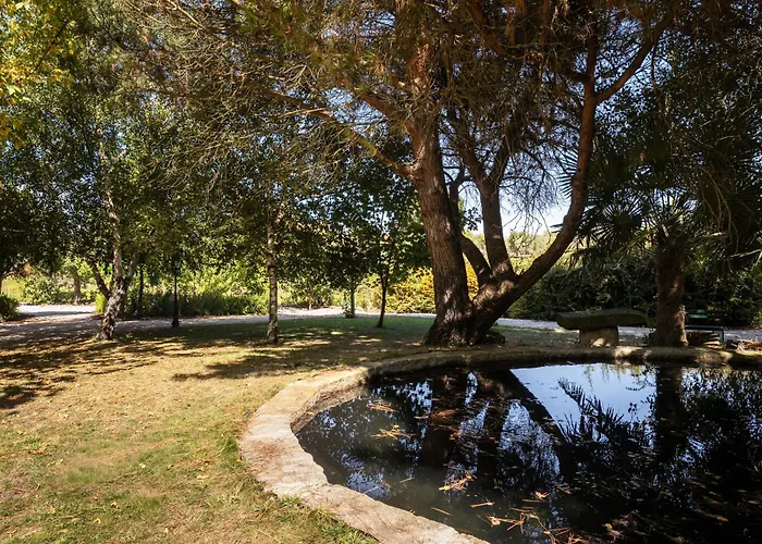 Casa De Sao Miguel Douro *